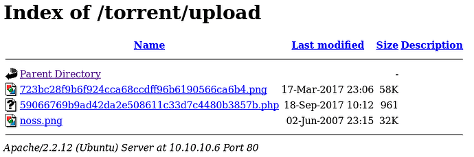 Torrent Host Uploads Folder