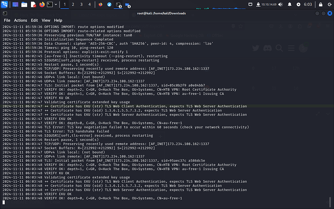 Screenshot_2024-11-11_06_03_56