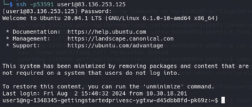 Kali Linux / Terminal / Screenshot