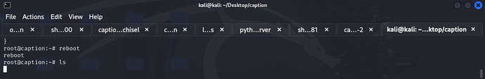 root verify