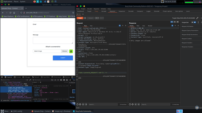 Screen Shot 2023-06-06 at 3.18.42 PM (2)