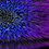 jstnlmb2008