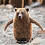 MrBear