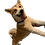 sk00ma