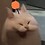 userb1ank